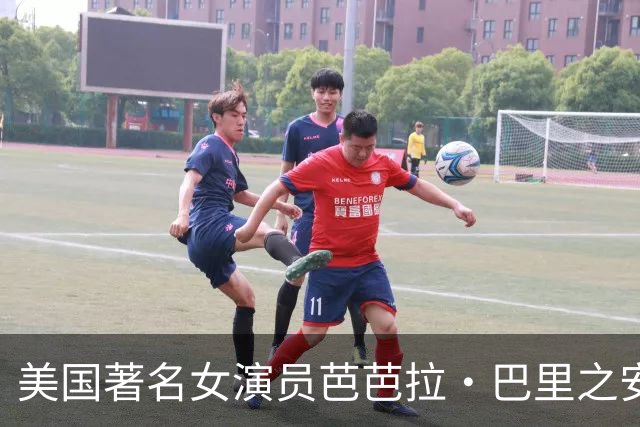 美国著名女演员芭芭拉·巴里之安乐死现象探讨